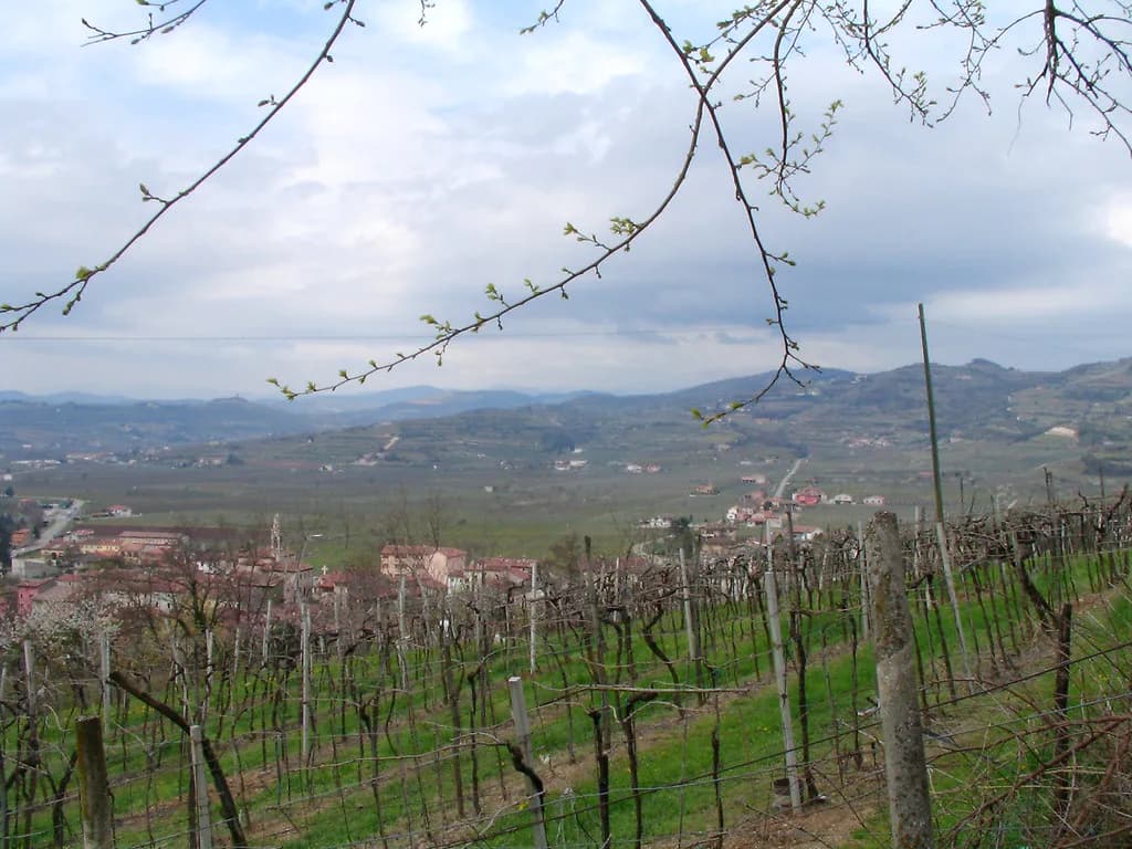 Allegrini Winery: Visiting Villa della Torre from Verona