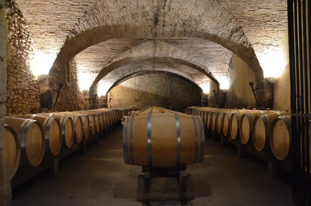 Avignon Wine Tours: Choosing a Rhône Valley Day Trip