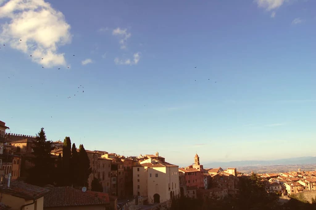 Avignonesi Winery: Montepulciano Visit Guide & Tips