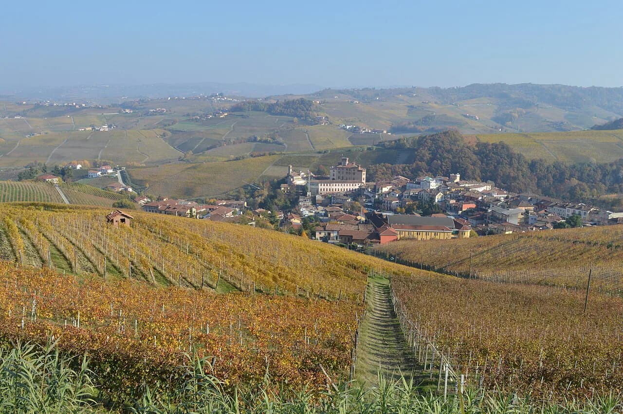 Barolo Village Wine Guide: Tasting, Booking and Getting There from Turin