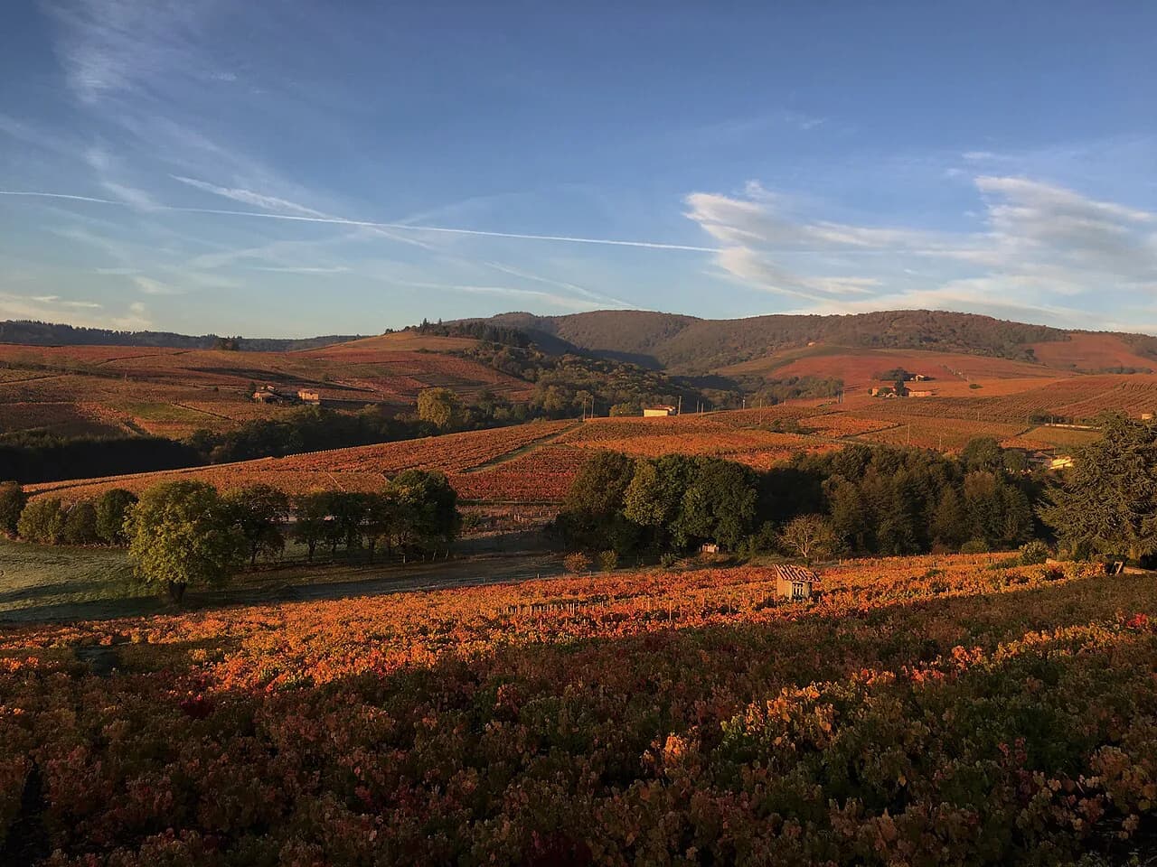 Beaujolais Wine Tour from Lyon: Crus & Wineries Guide