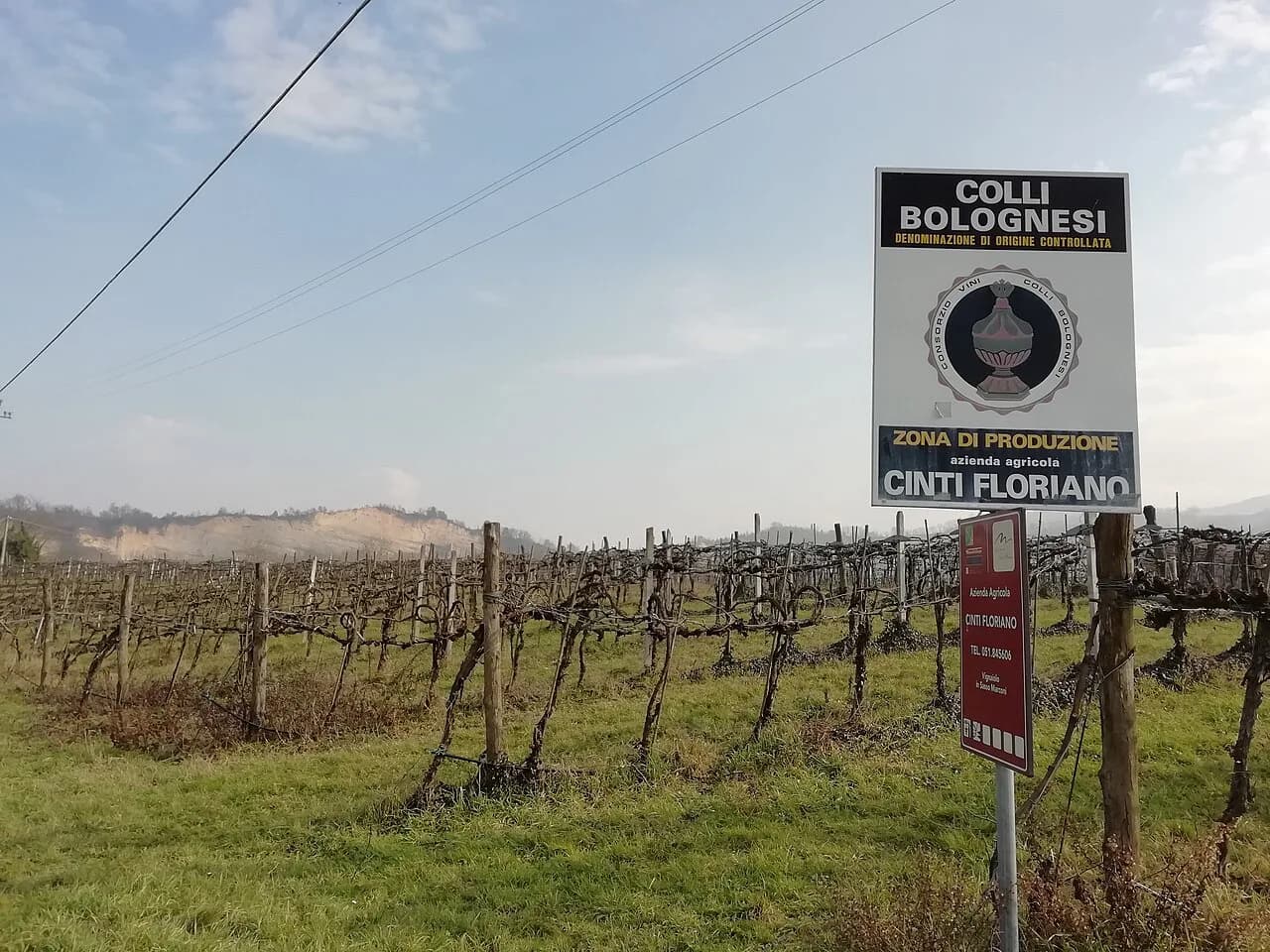 Agriturismo Bologna: Choose Wine Estates & Farm Stays