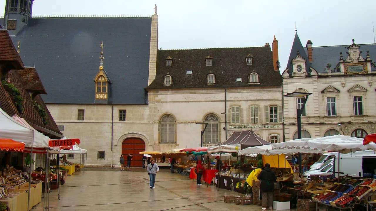 Burgundy Wine Tasting: How Visits Work, Where to Go