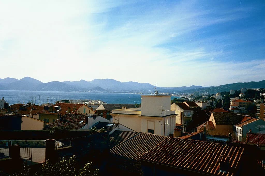 Wine Tasting in Cannes: Provence Estates and Tours