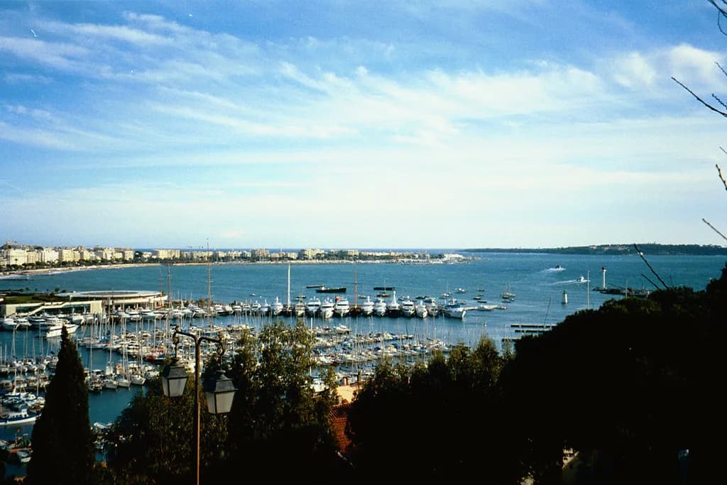 Wine Tours from Cannes: How to Choose a Provence Wine Day