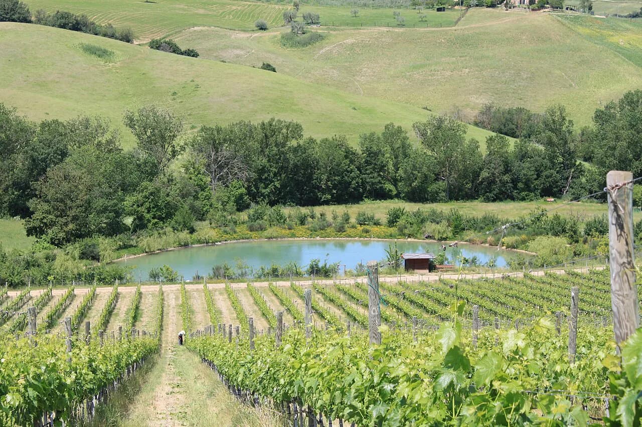 Canneto Winery Montepulciano: Tastings Guide