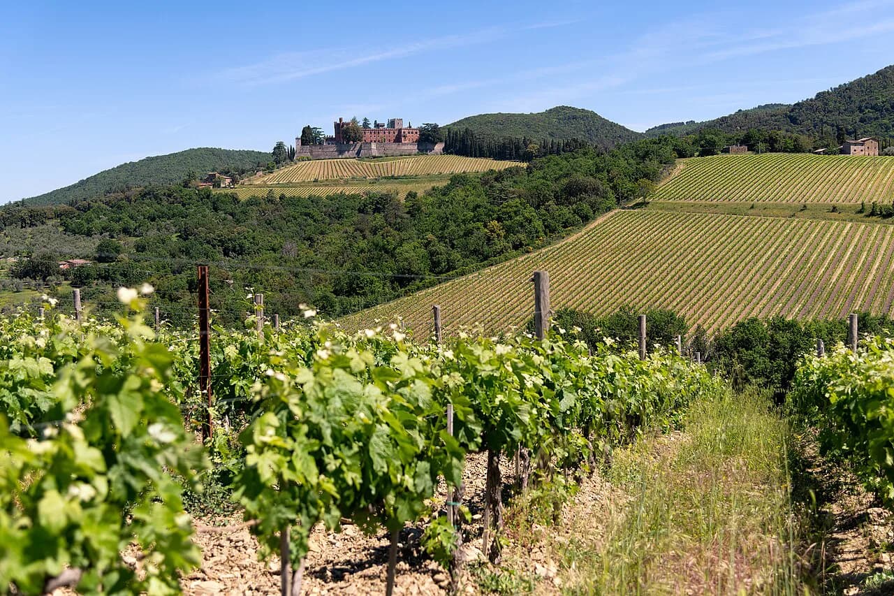 Castello di Brolio: Wine Tasting and Tours from Siena