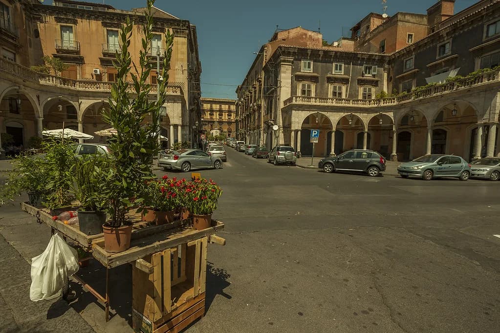 Wine Tasting in Catania: Etna DOC Wineries and Tours