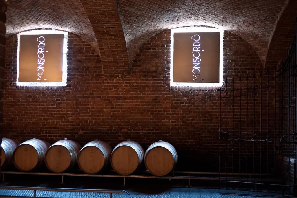 Visiting Ceretto Winery from Turin: Alba Tastings & Booking
