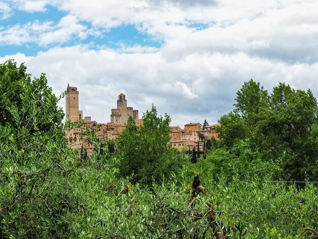 Cesani Winery, San Gimignano: Planning a Visit and Tasting