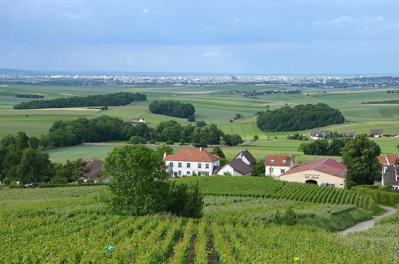 Champagne Lanson Reims: House Visits, Bookings & Tastings