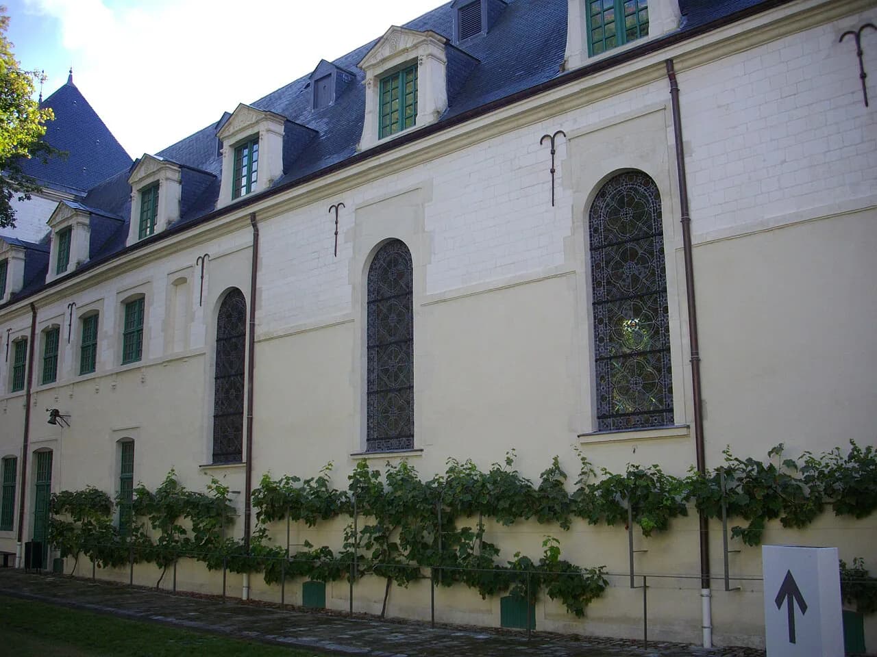 Champagne Palmer & Co in Reims: What to Expect