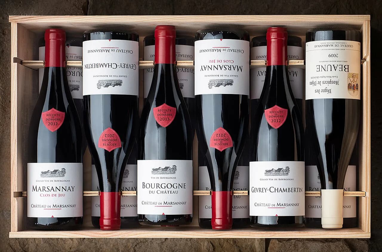 Château de Marsannay Guide: Tours, Tastings & Dijon Travel