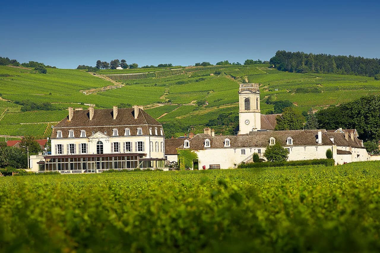 Château de Pommard Guide: Which Visit to Book from Beaune