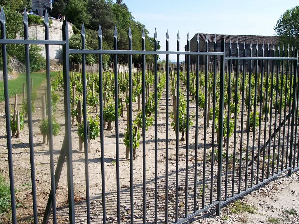 Clos des Papes Visits: Deciding Avignon Tasting Plans