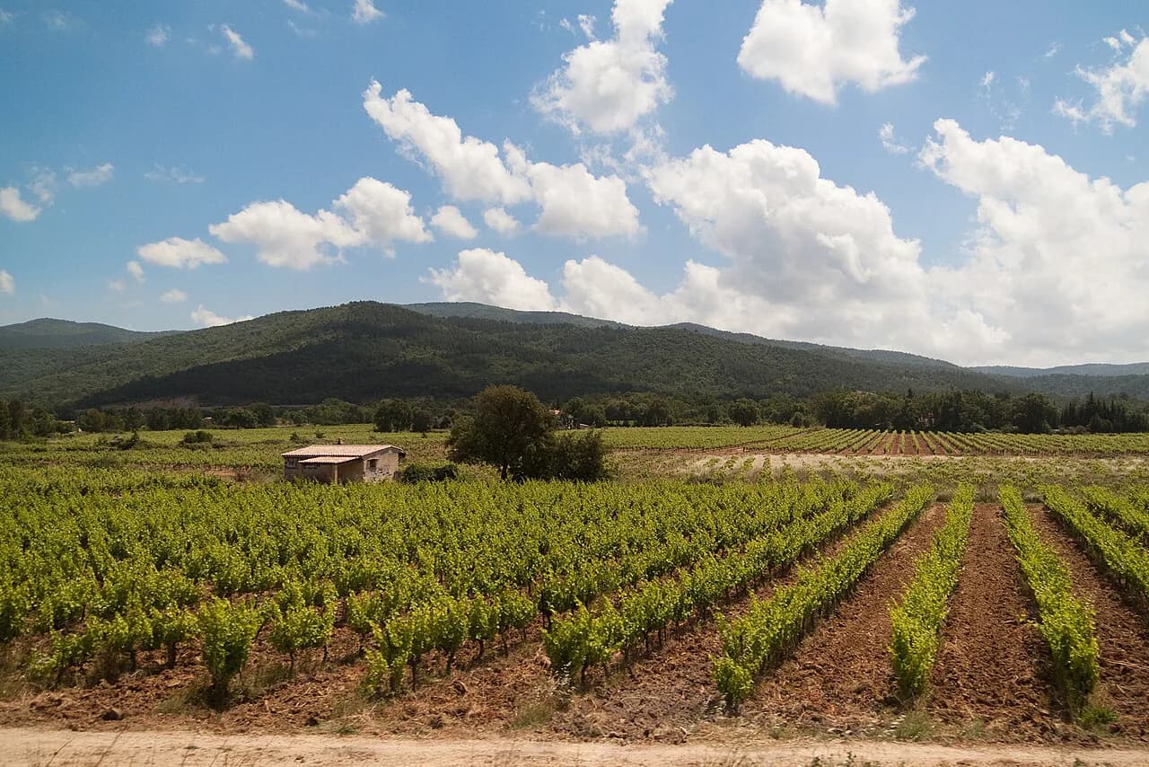 Clos Sainte Magdeleine, Cassis: Visiting from Marseille