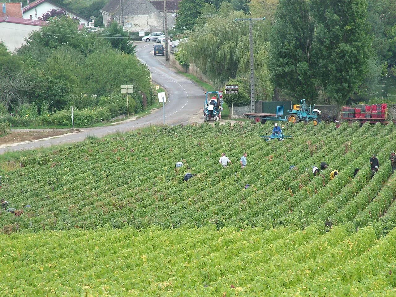 Dijon Wineries: Pick Burgundy's Best Without a Car