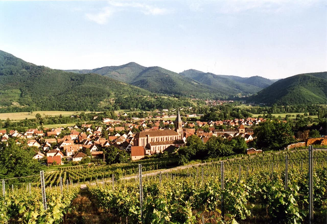 Domaine Albert Mann: Colmar Guide to the Wettolsheim Estate