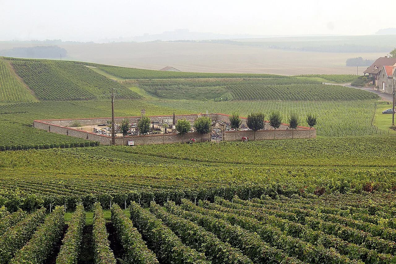Épernay Champagne Houses: Day Trip from Reims