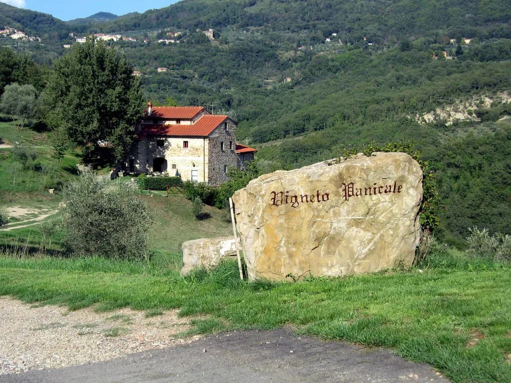 Fattoria Sardi Near Lucca: Tasting and Booking Guide