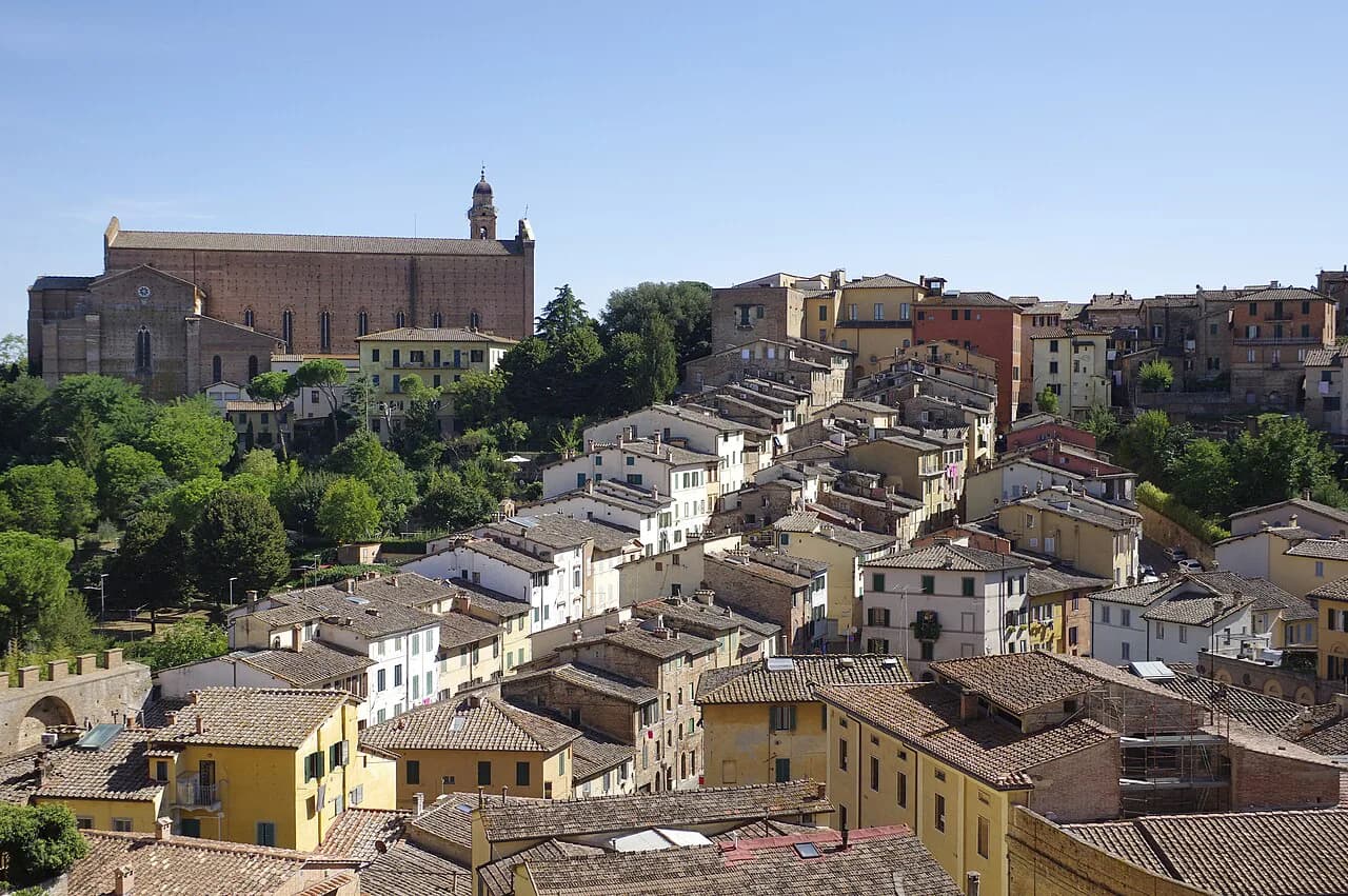 Fèlsina Winery Guide: Plan Your Visit from Siena