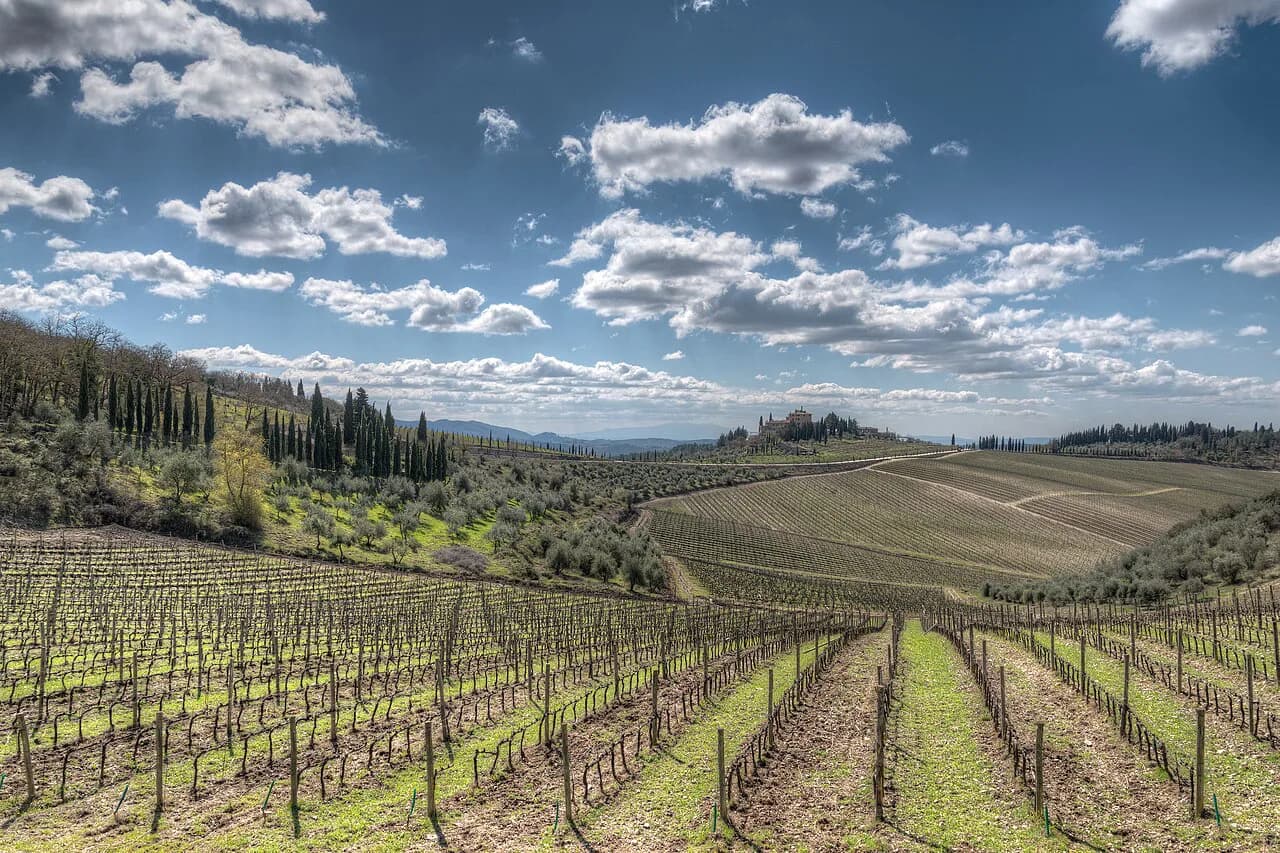 Greve in Chianti Wine Tasting: Plan Your Siena Cellar Tour