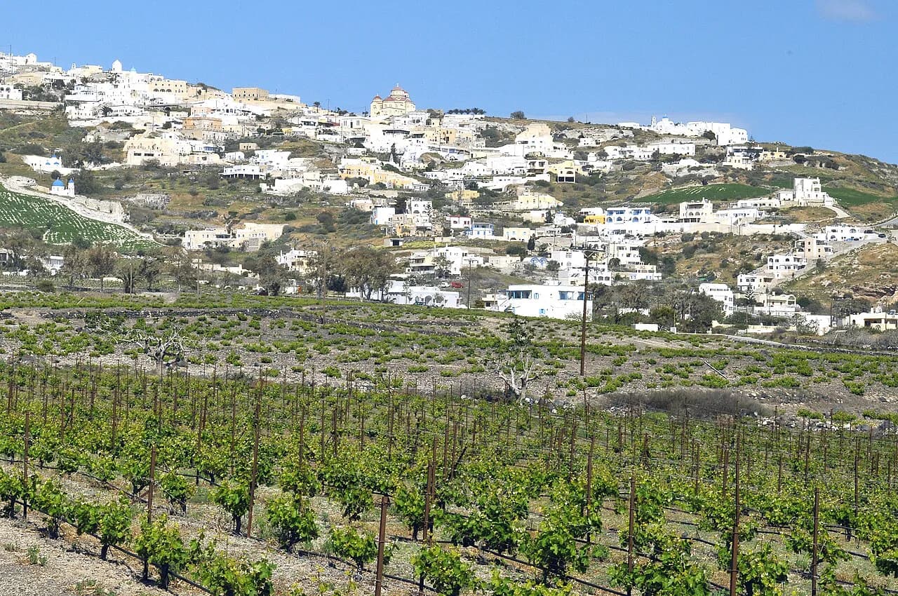 Hatzidakis Winery, Santorini: Plan a Pyrgos Cellar Visit