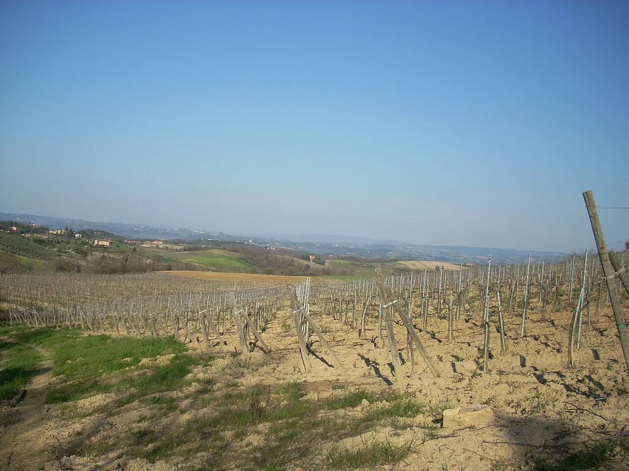 La Lastra Winery: Tasting in San Gimignano and Siena