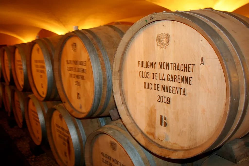 Louis Jadot in Beaune: How to Visit, Taste and Book