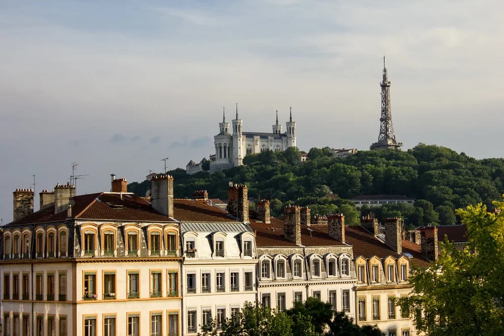 Lyon Wine Tours: Beaujolais vs Northern Rhône Day Trips