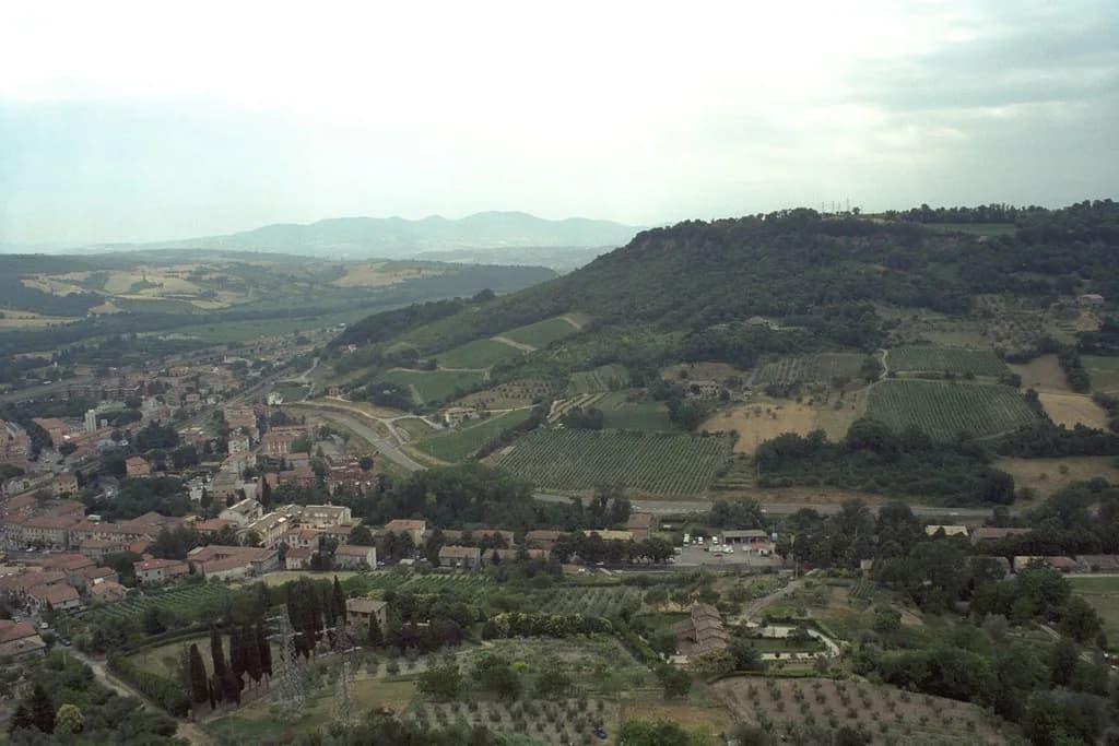 Orvieto Wine Tours: Tasting Orvieto Classico and Beyond