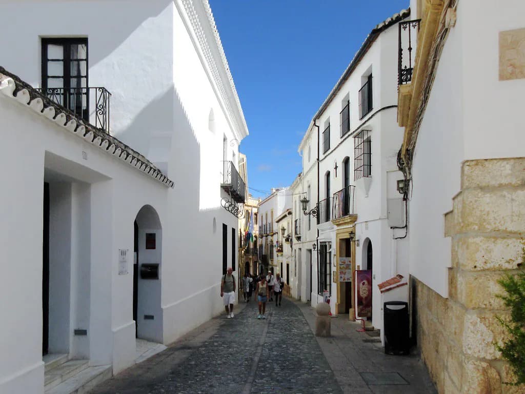 Wine Tasting in Ronda: Wineries, Tours & What to Book