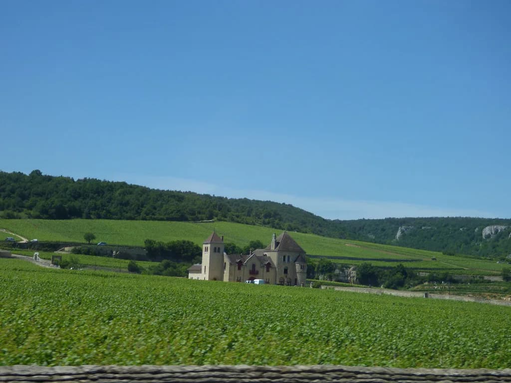 Route des Grands Crus from Dijon: Villages & Stops Guide