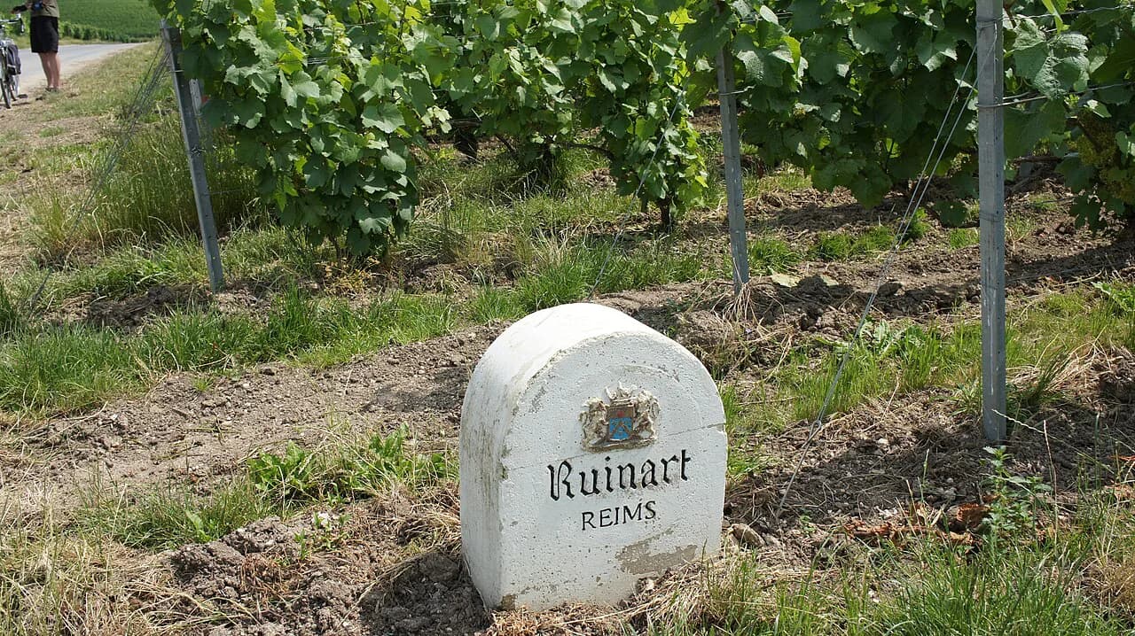 Ruinart Tour in Reims: Cellar Visit, Prices and How to Book