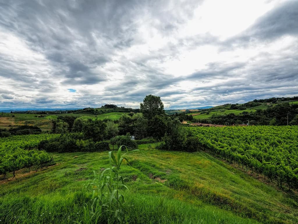 San Gimignano Wine Tours: Vernaccia, Chianti and How to Book