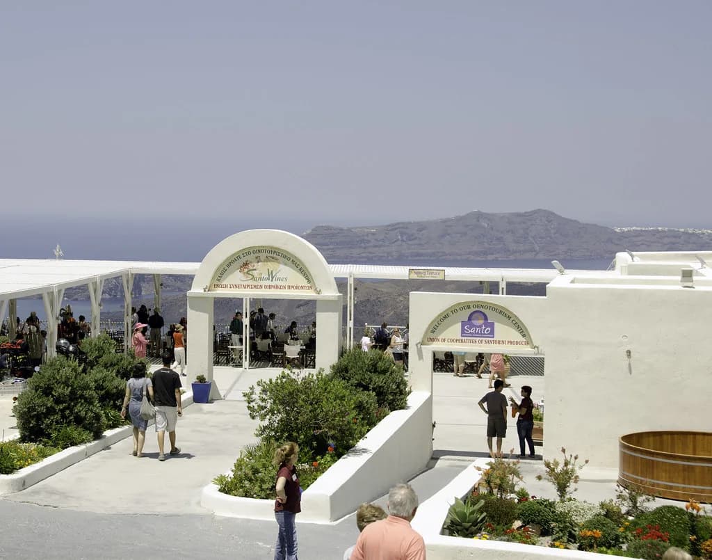 Santo Wines Santorini: Tasting Visit Guide from Pyrgos