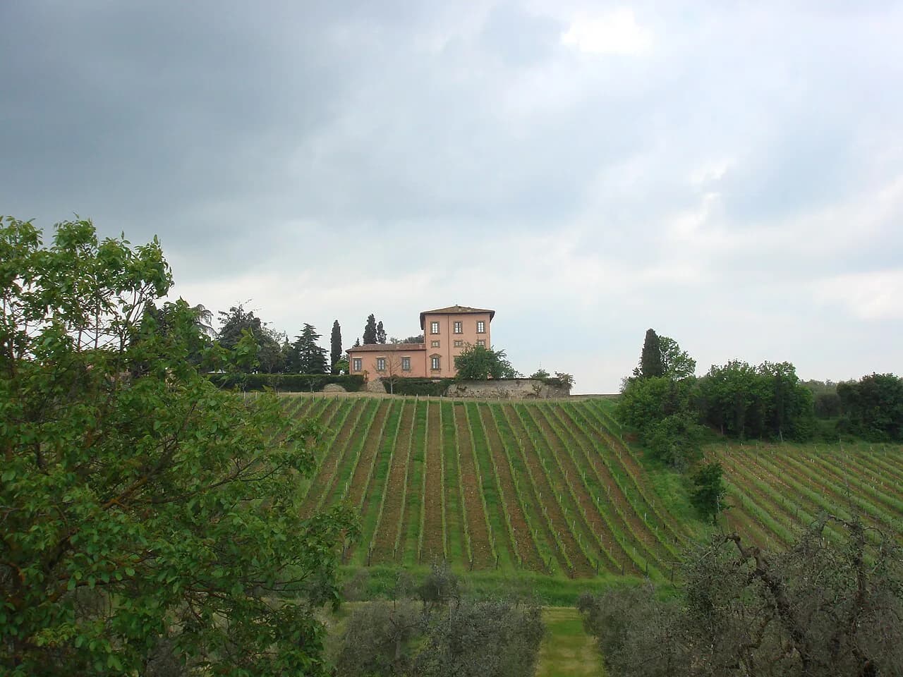Agriturismo Siena: Where to Base Yourself for Wine Tasting