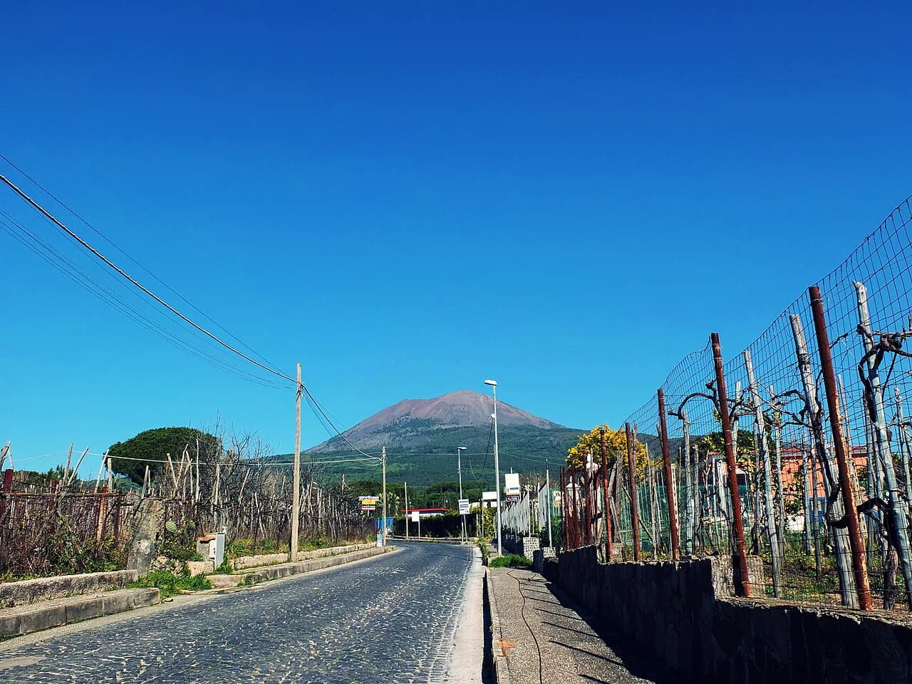 Sorrento Wineries: Which Cellars and Wine Tastings to Pick