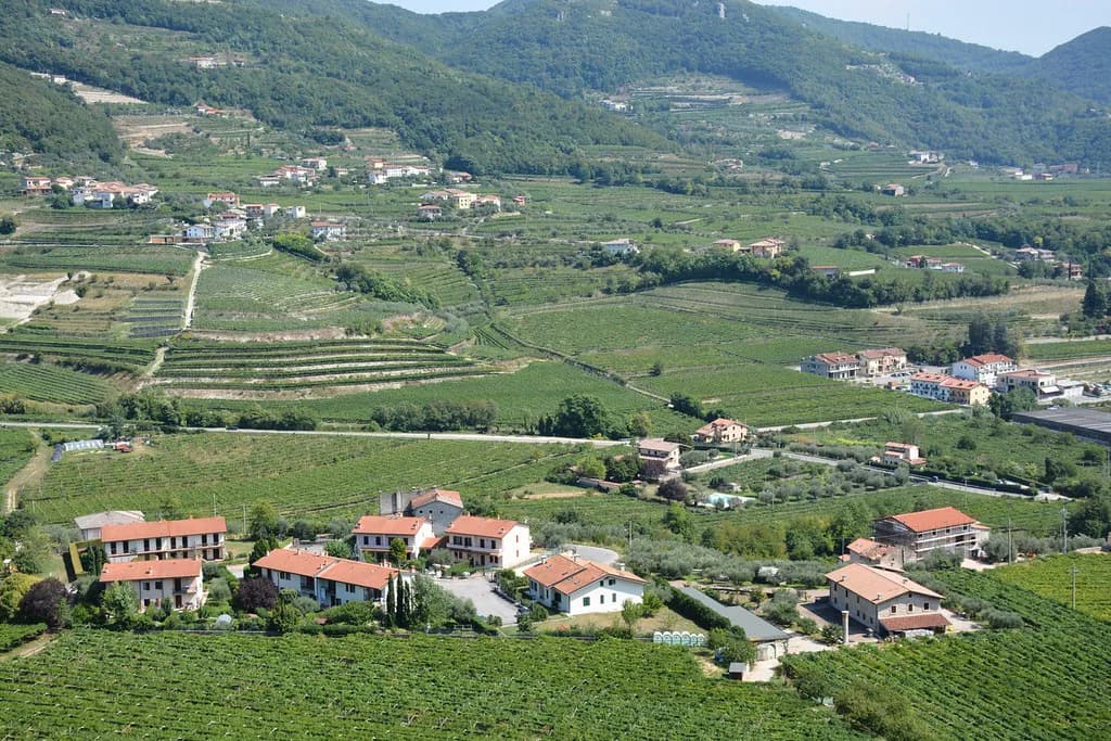 Speri Winery: Visiting the Valpolicella Estate from Verona