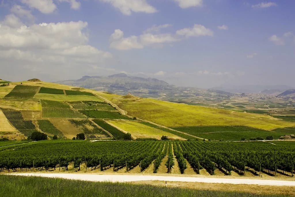 Wine Tasting in Taormina: Etna Wineries and Tours to Book