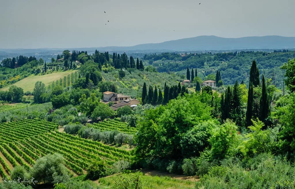 Teruzzi Winery Visit: Tasting Vernaccia in San Gimignano