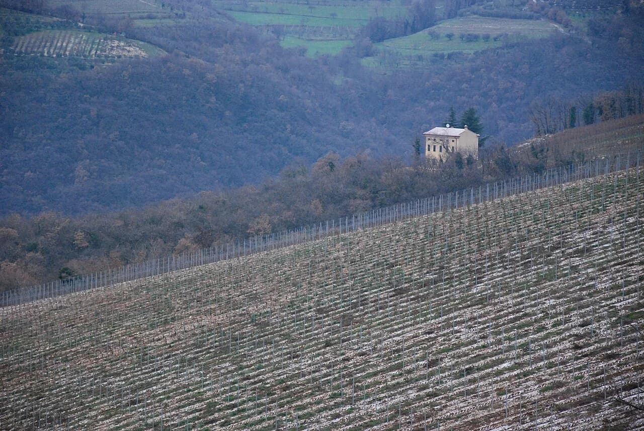 Tommasi Winery Visit from Verona: Valpolicella Tasting Guide