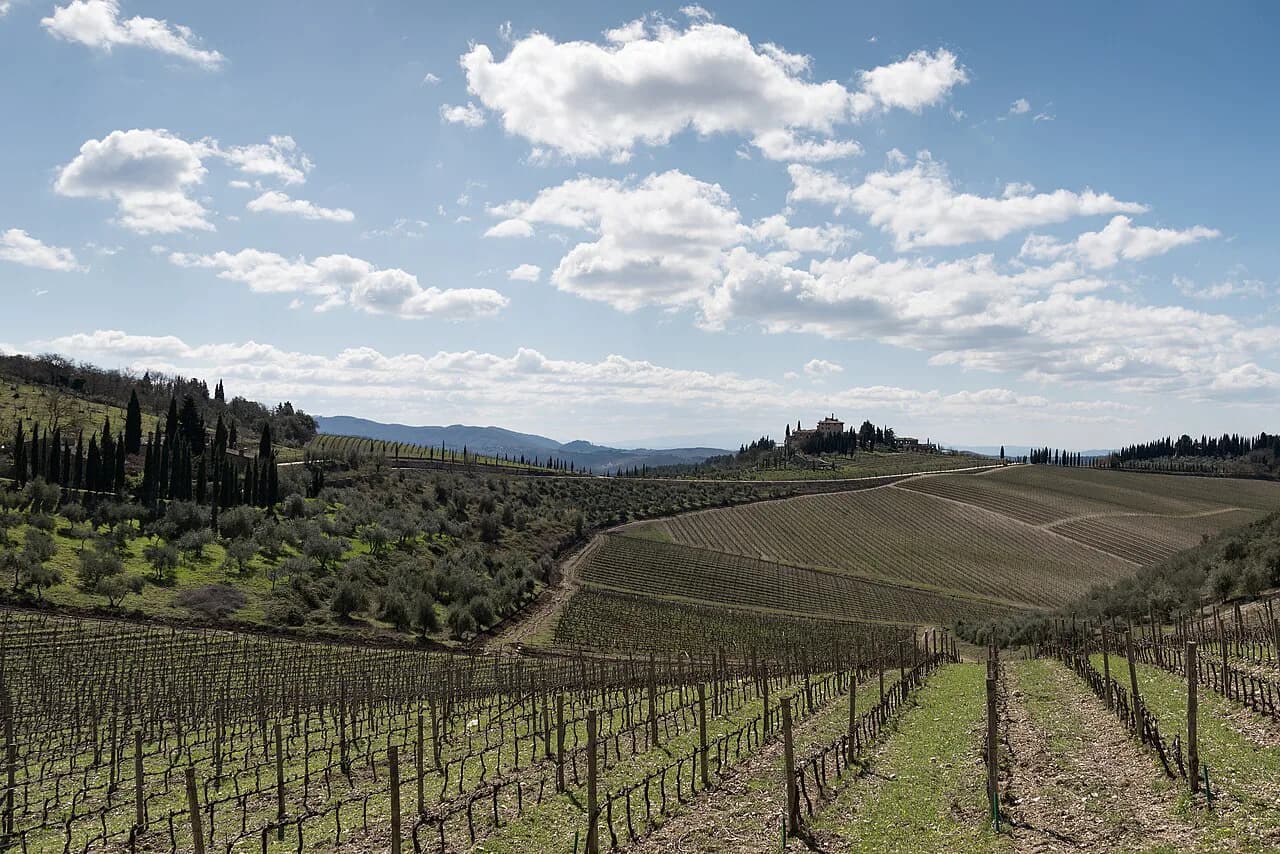 Tuscany Wine Tours from Siena: Compare Trips & Prices