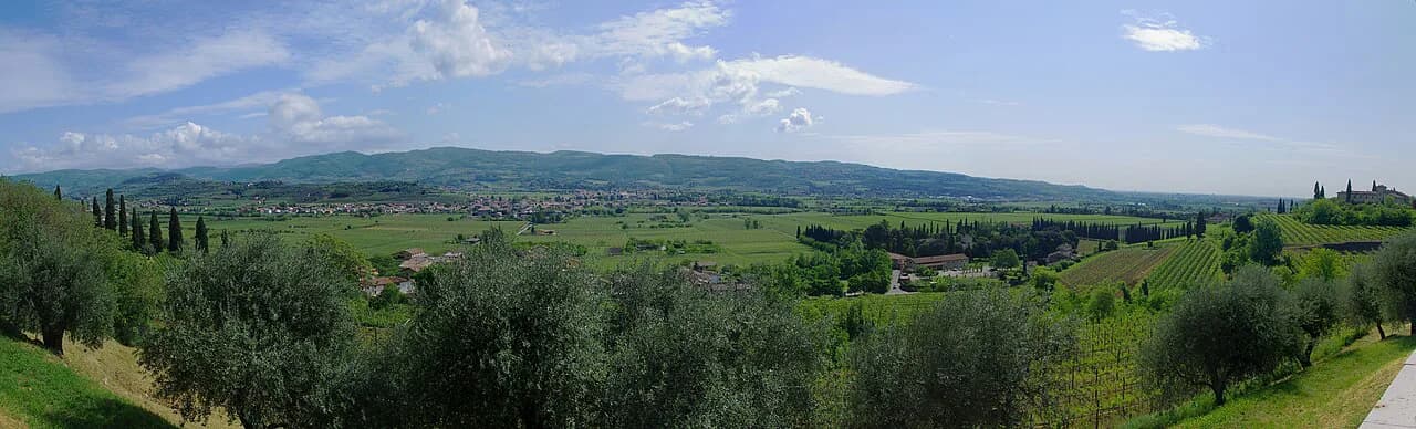 Valpolicella Wine Tour from Verona: Which Winery to Pick
