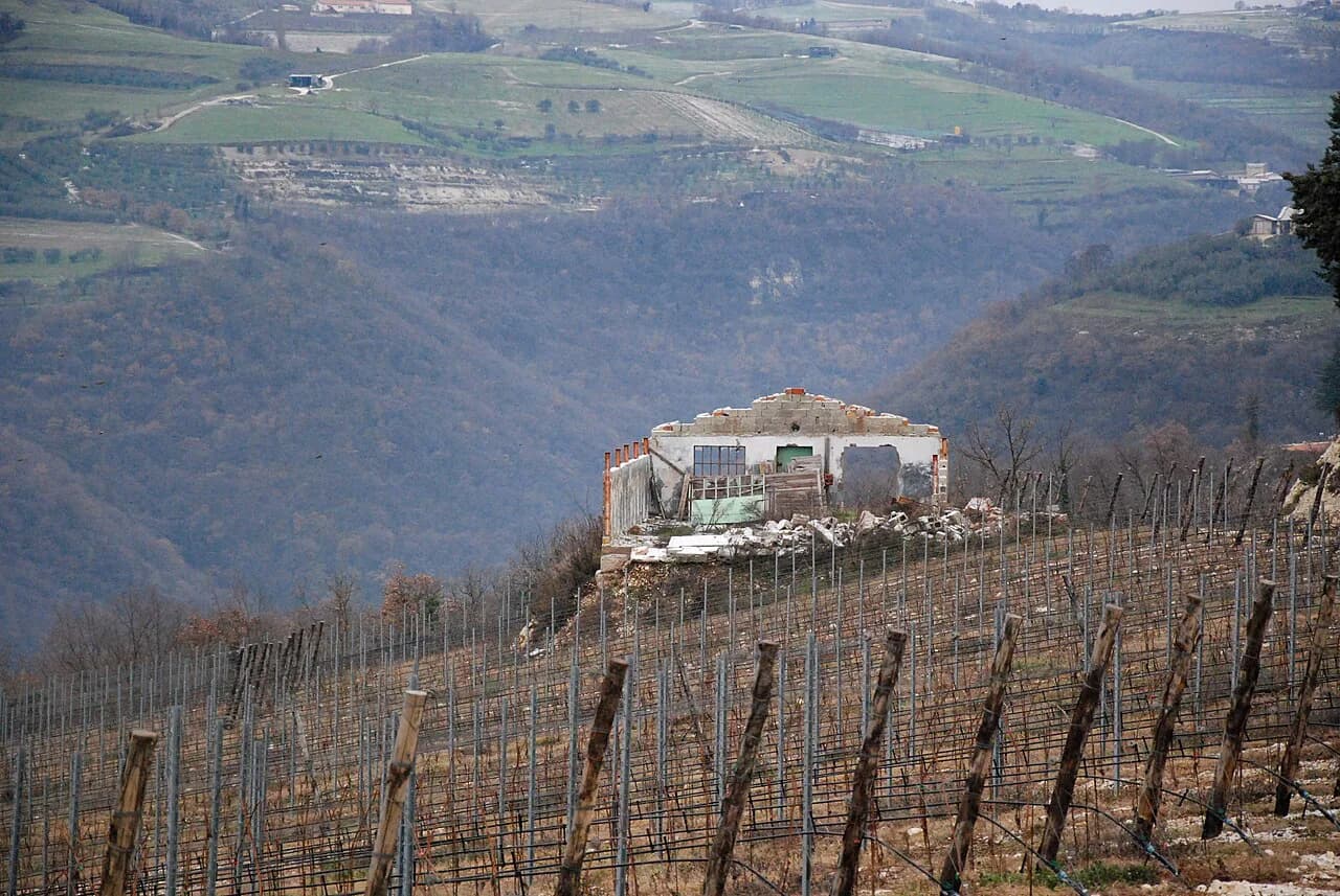 Verona Wine Tours: Valpolicella, Amarone and Soave Compared