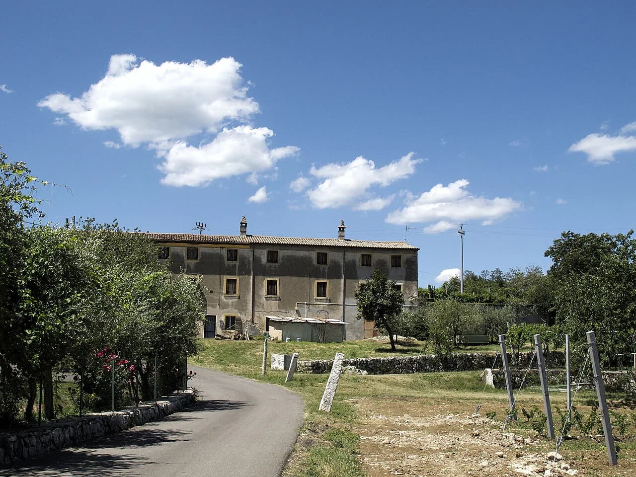 Wineries Near Verona: Valpolicella, Soave, Bardolino Guide