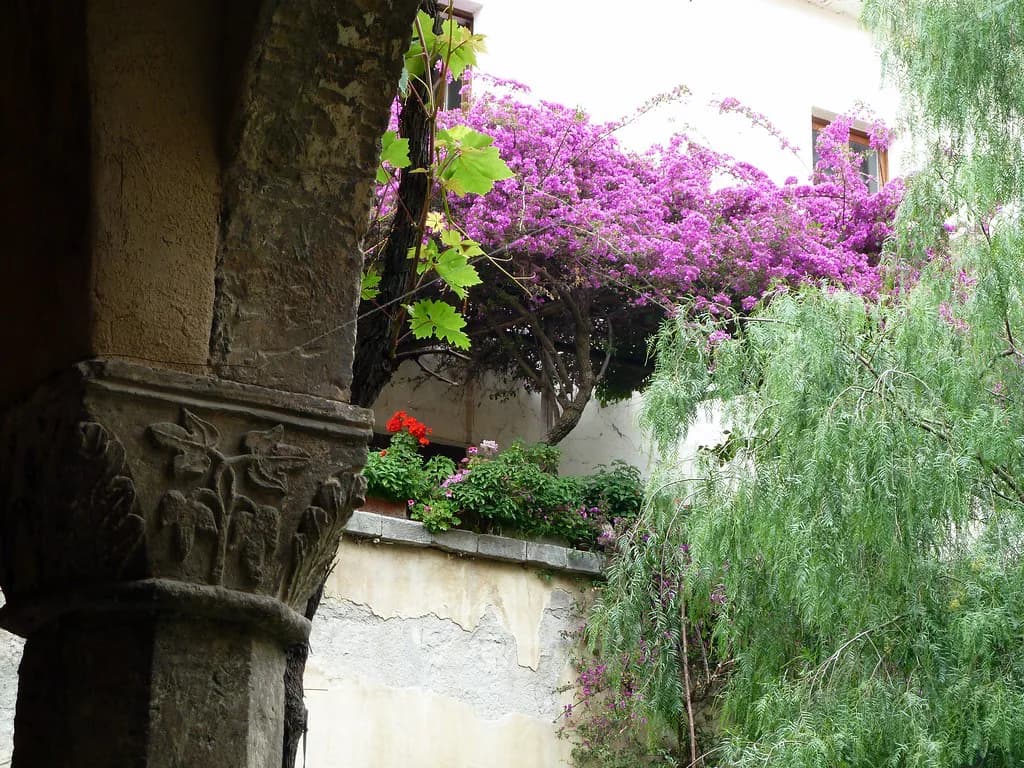 Lacryma Christi Winery Guide: Day Trips from Sorrento