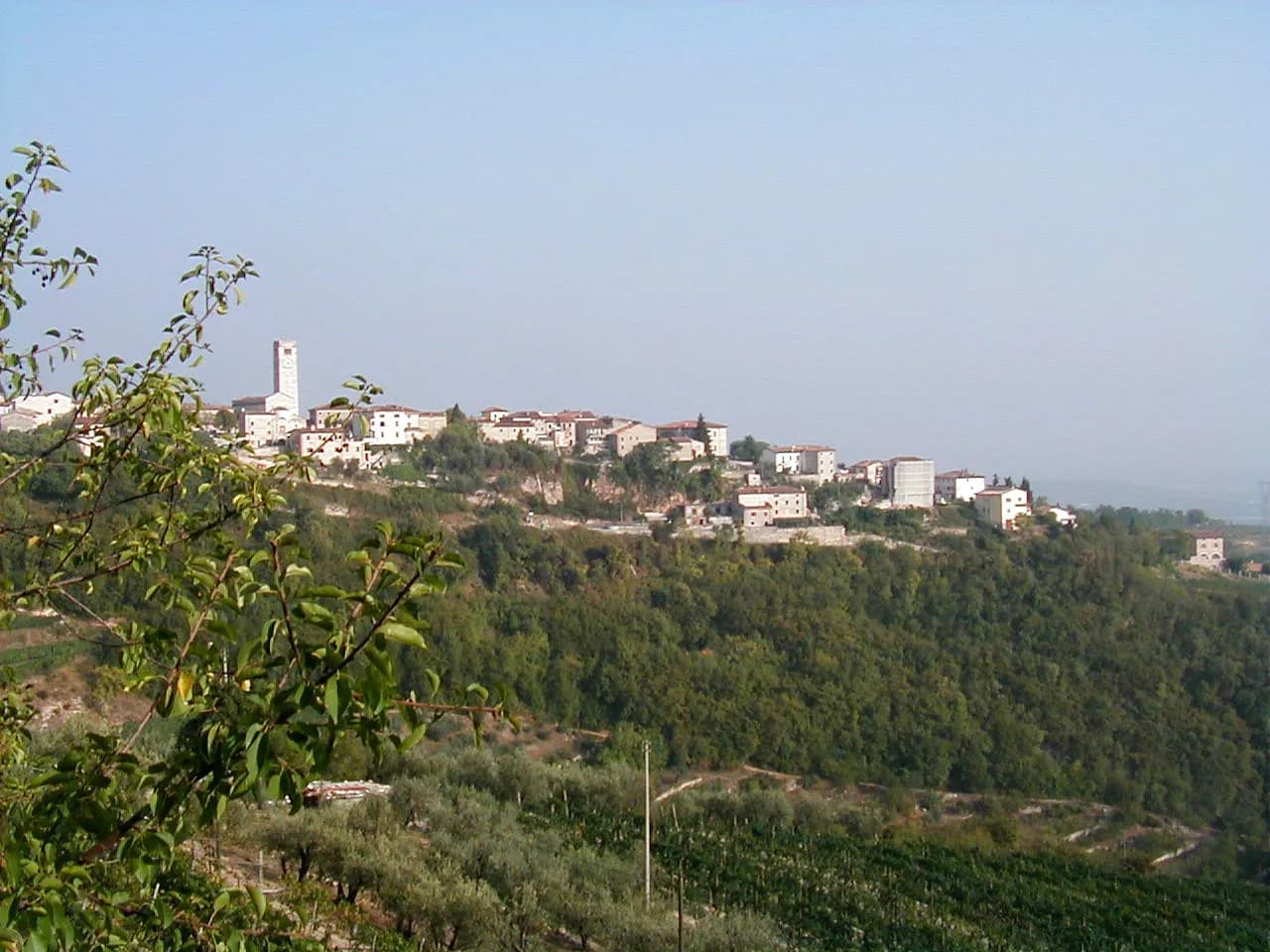 Zenato Winery from Verona: Lugana and Valpolicella Tastings