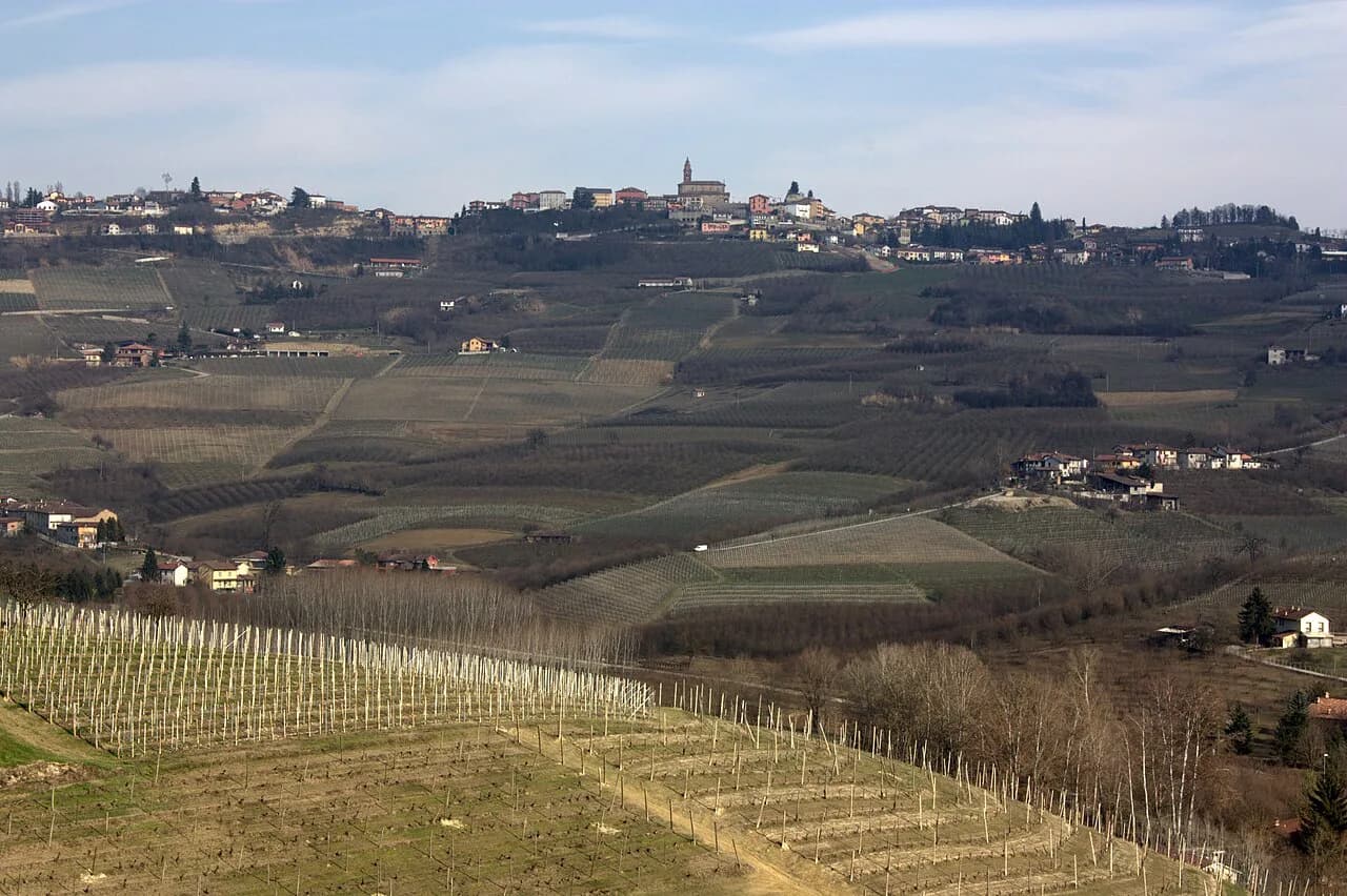 Barolo Wineries: Where to Taste in Piedmont From Turin