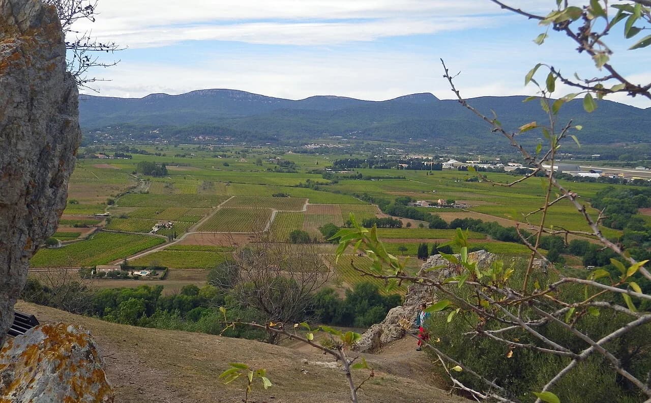Wineries Near Cannes: Where to Taste and How to Get There